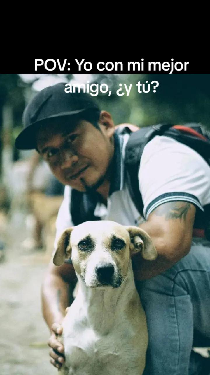 @ALFYULE
