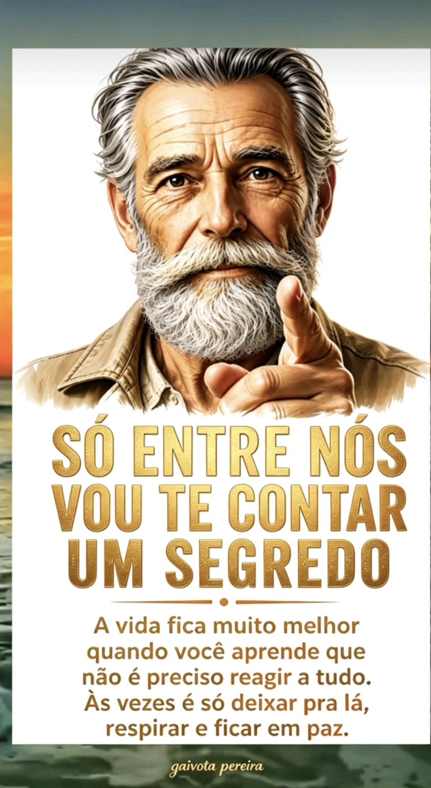 @Gaivota