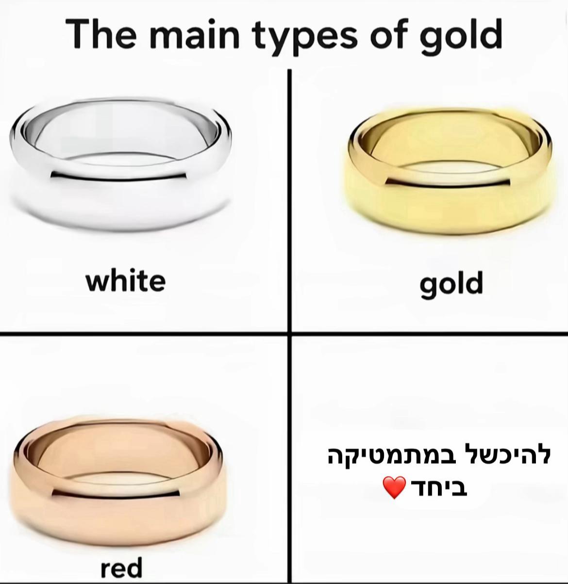 @השורדות של טכ״ם
