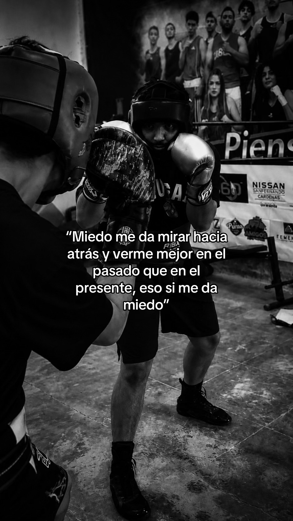 @PANTERA 🥊