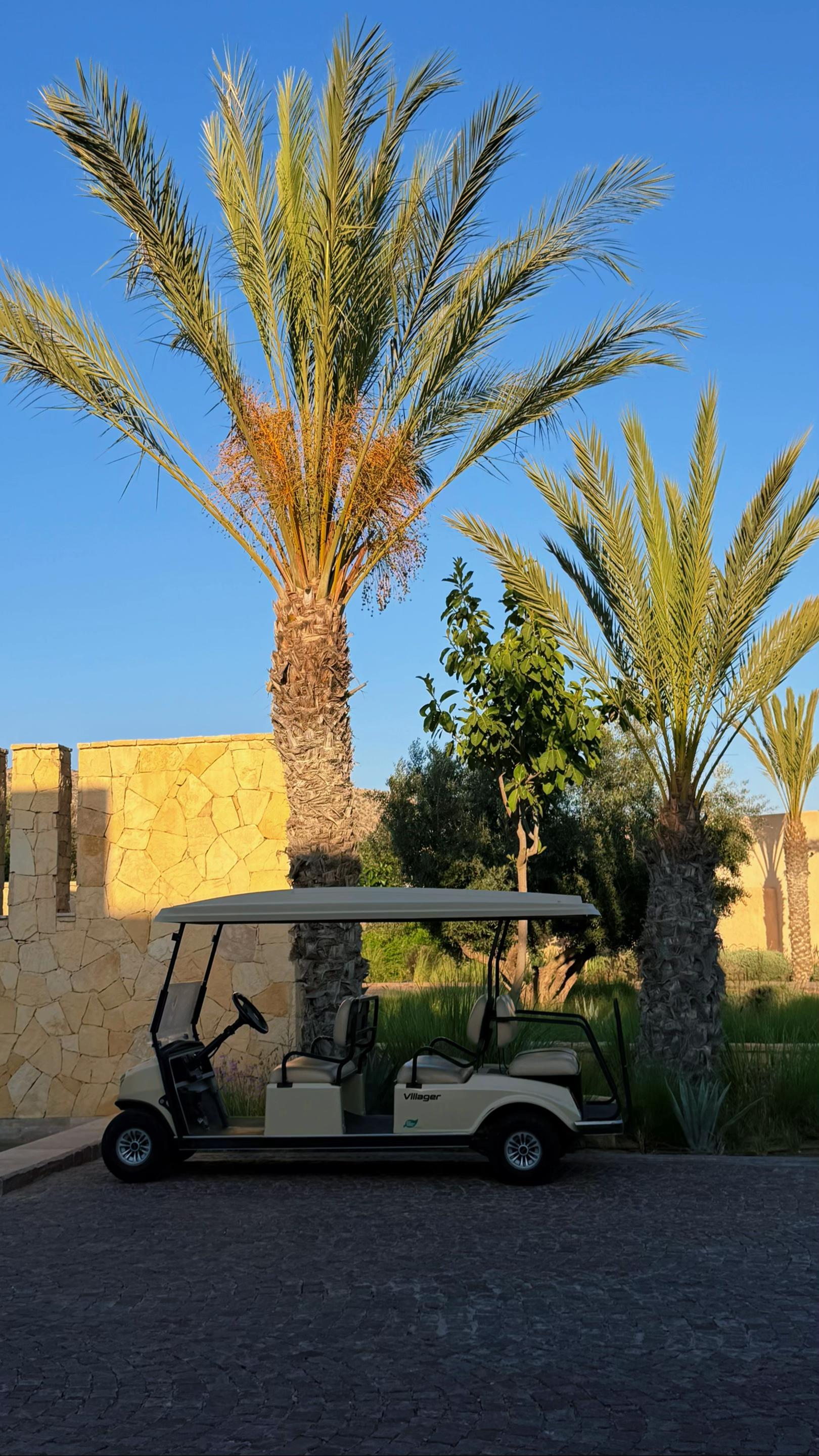 @Dutchie in Morocco🇳🇱🇲🇦