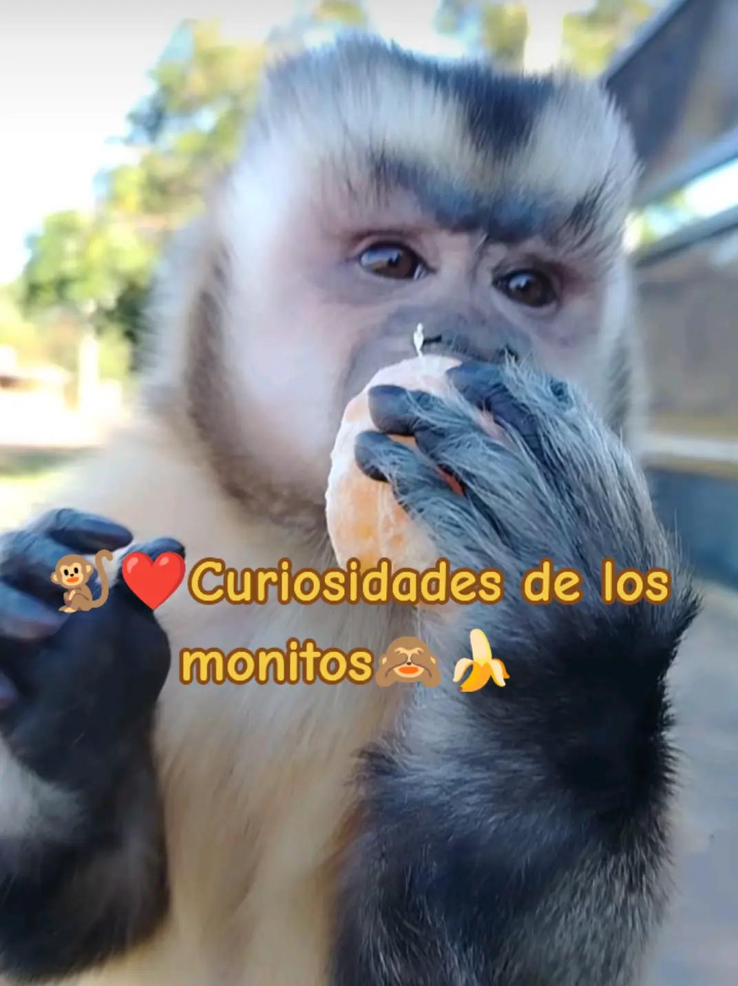 @ℙ𝕣𝕚𝕤𝕔𝕚𝕝𝕒🥰❤️🙉🙈🍌