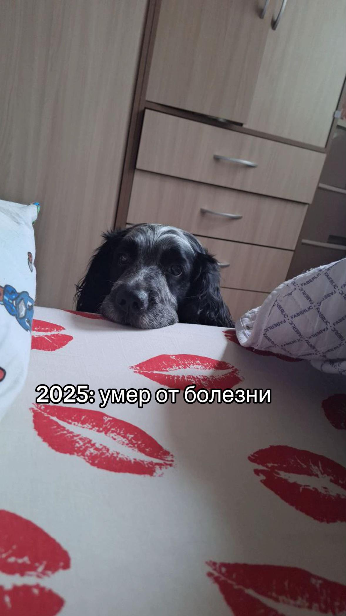 @k0mąriik@