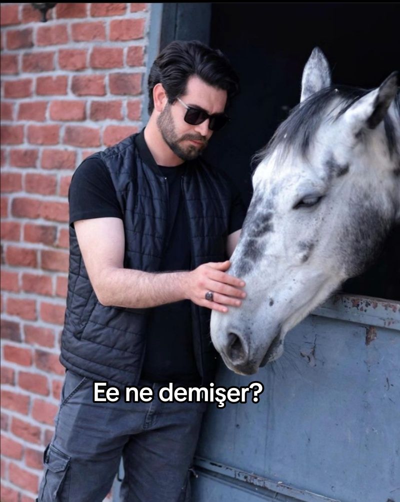@dizikesitleri