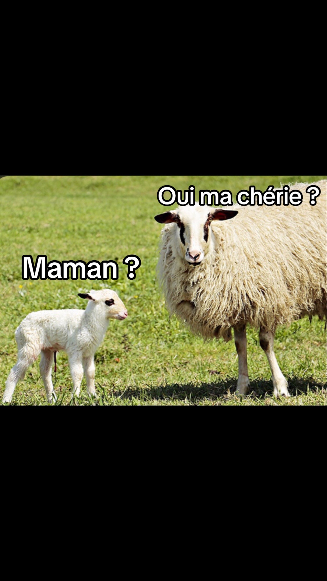 @viralpost