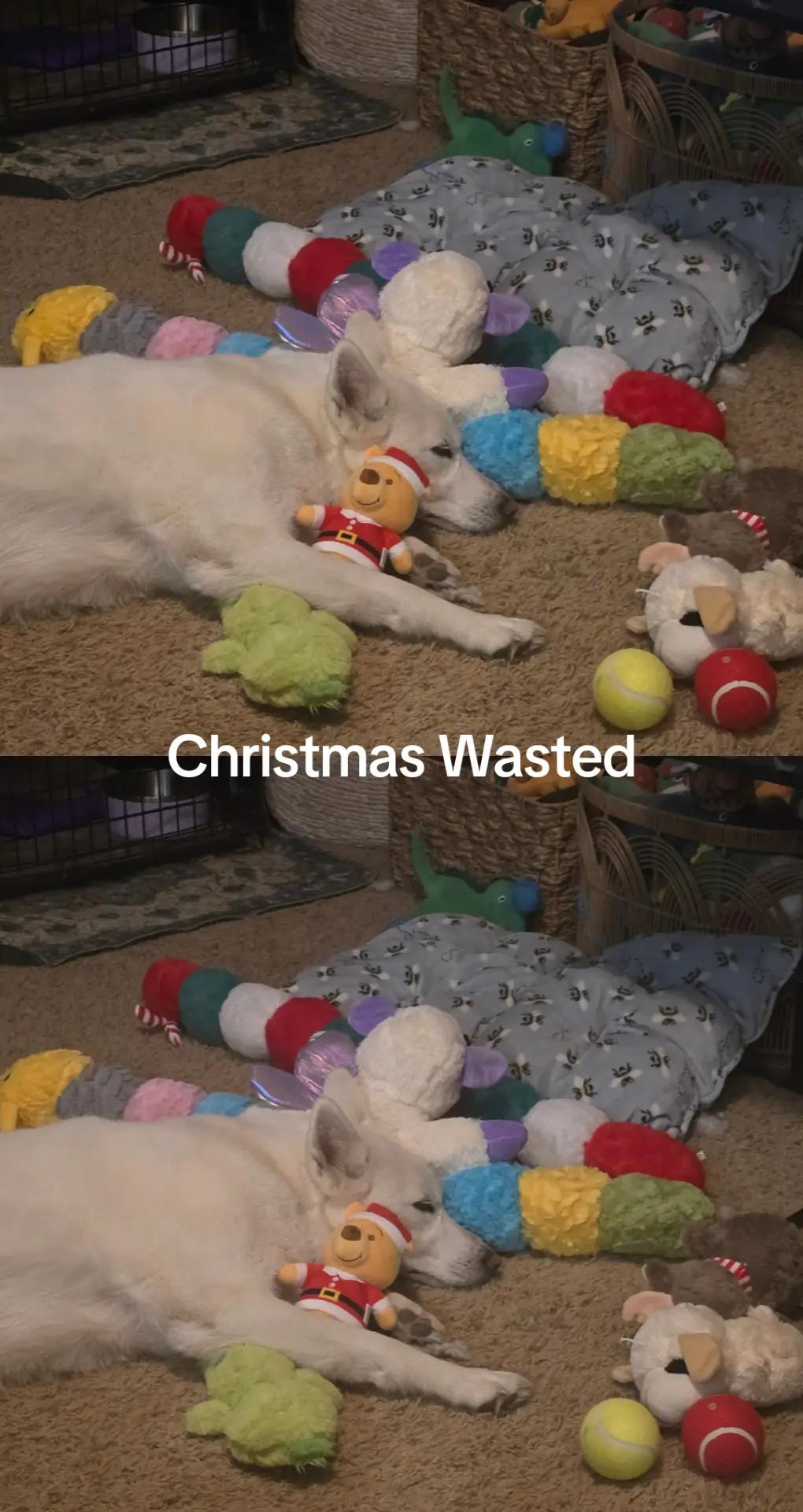 @The Dog Mom