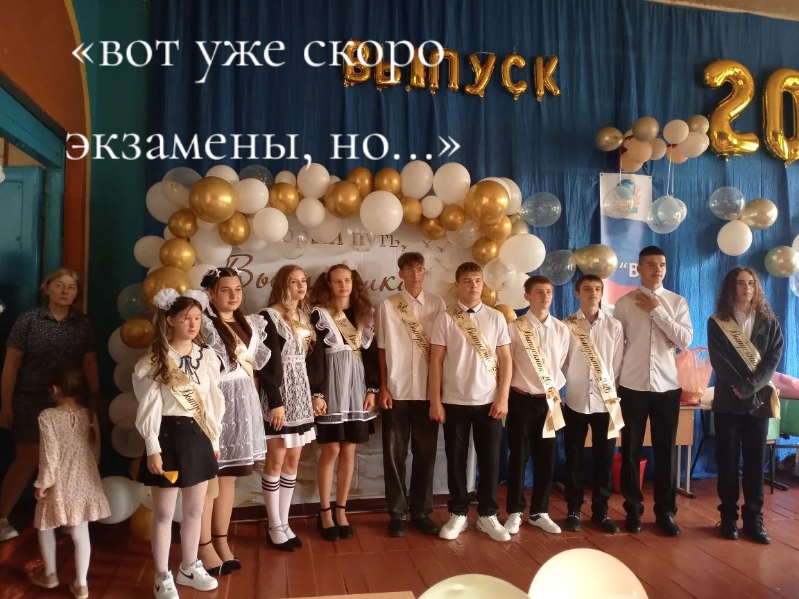 @www.vika.www