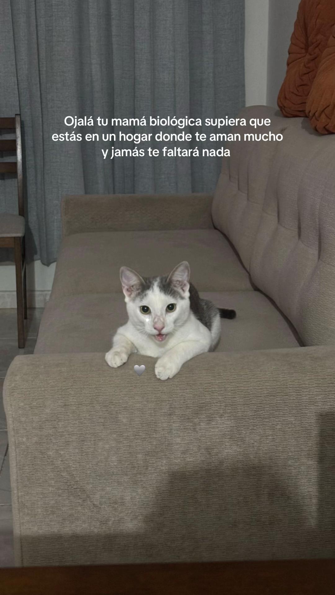 @Deyanira 🦋