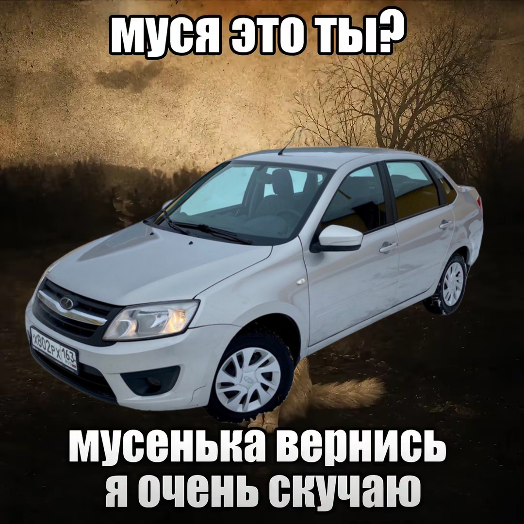 @𝙏𝙤𝙮𝙤𝙩𝙤𝙫𝙚𝙩𝙨🦈