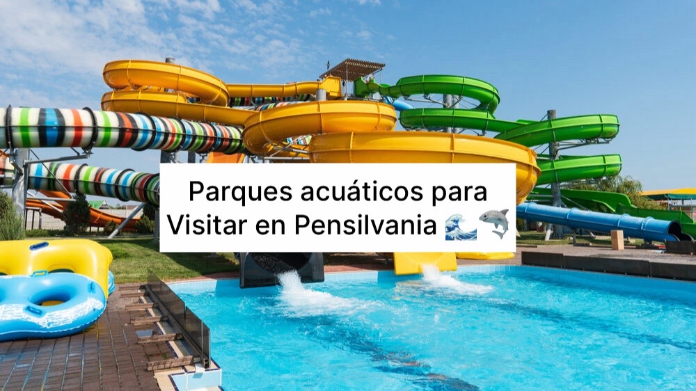 @Camilo&ensp;N&uacute;&ntilde;ez