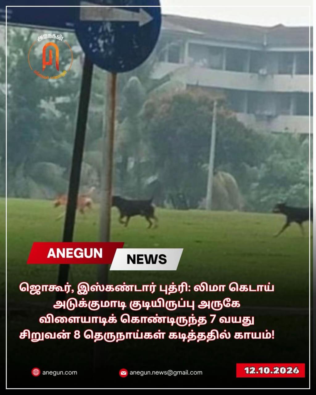 @AnegunNews