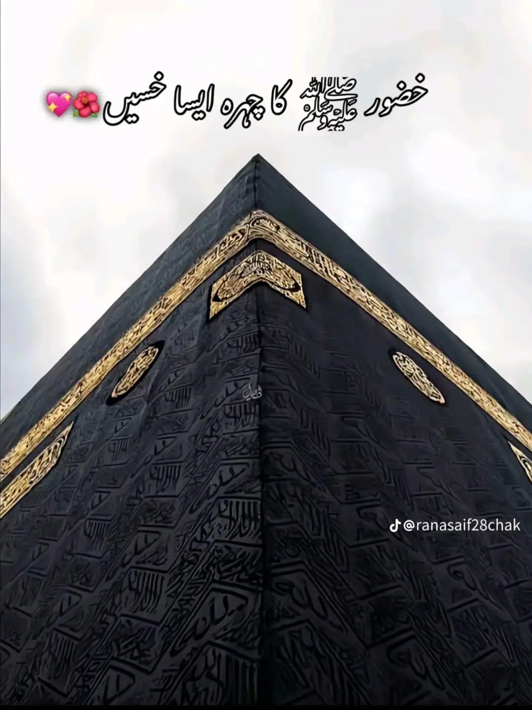 @چ♖💋  c𝒽 𝓏Ａ𝕄𝔞𝕟  🐊🌷