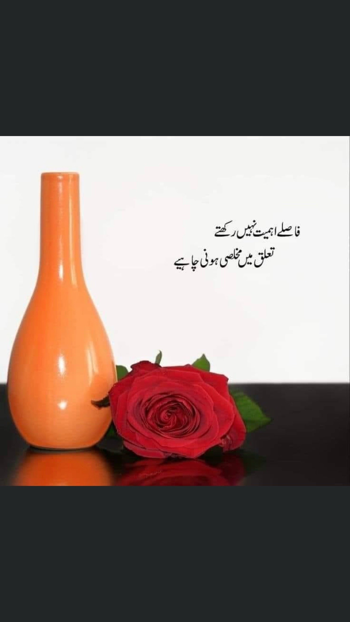 @Areebah khan