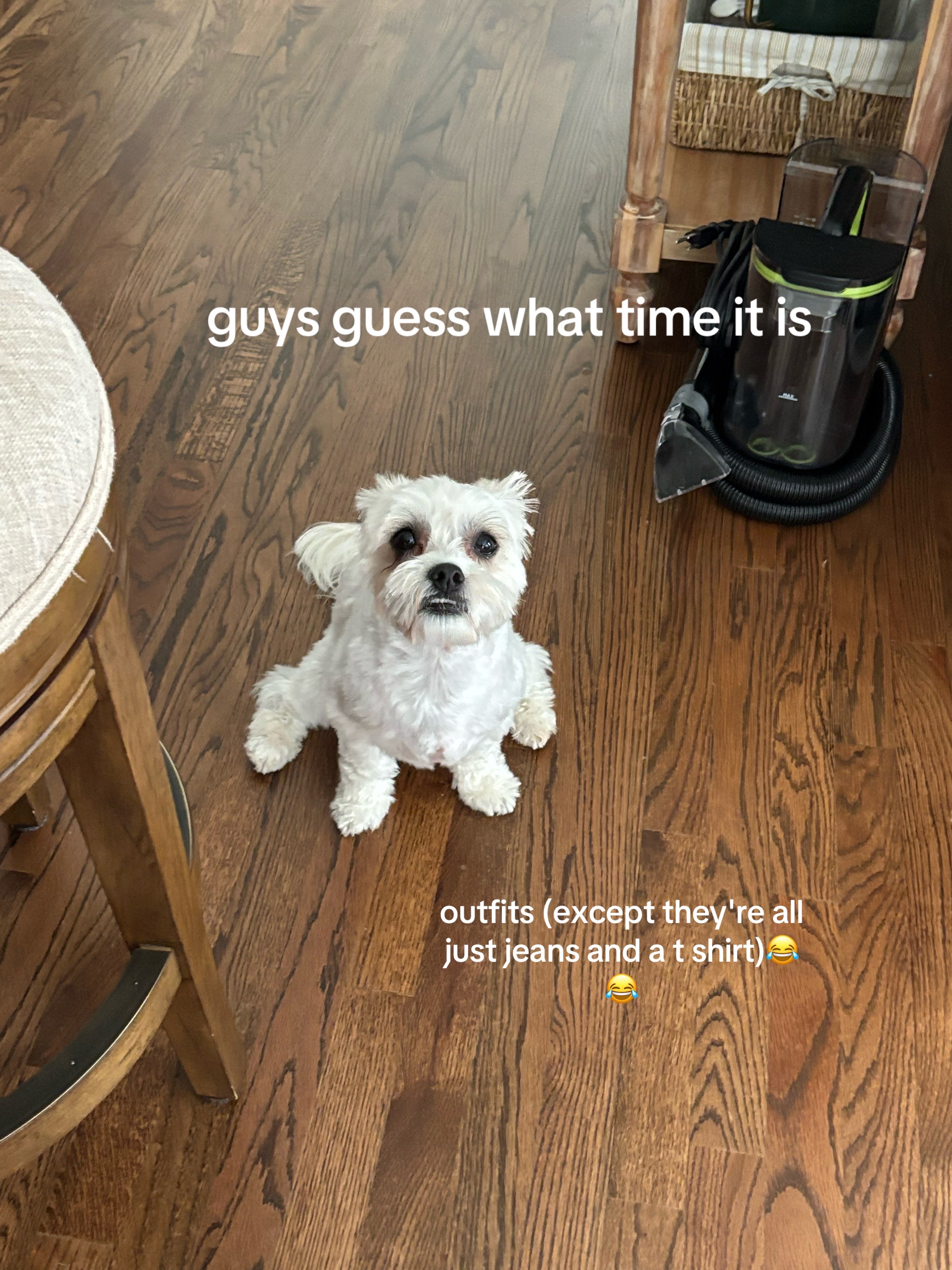 @katie