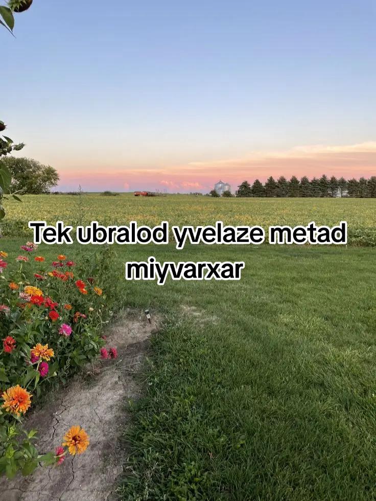 @tekklamiyyvarxarr