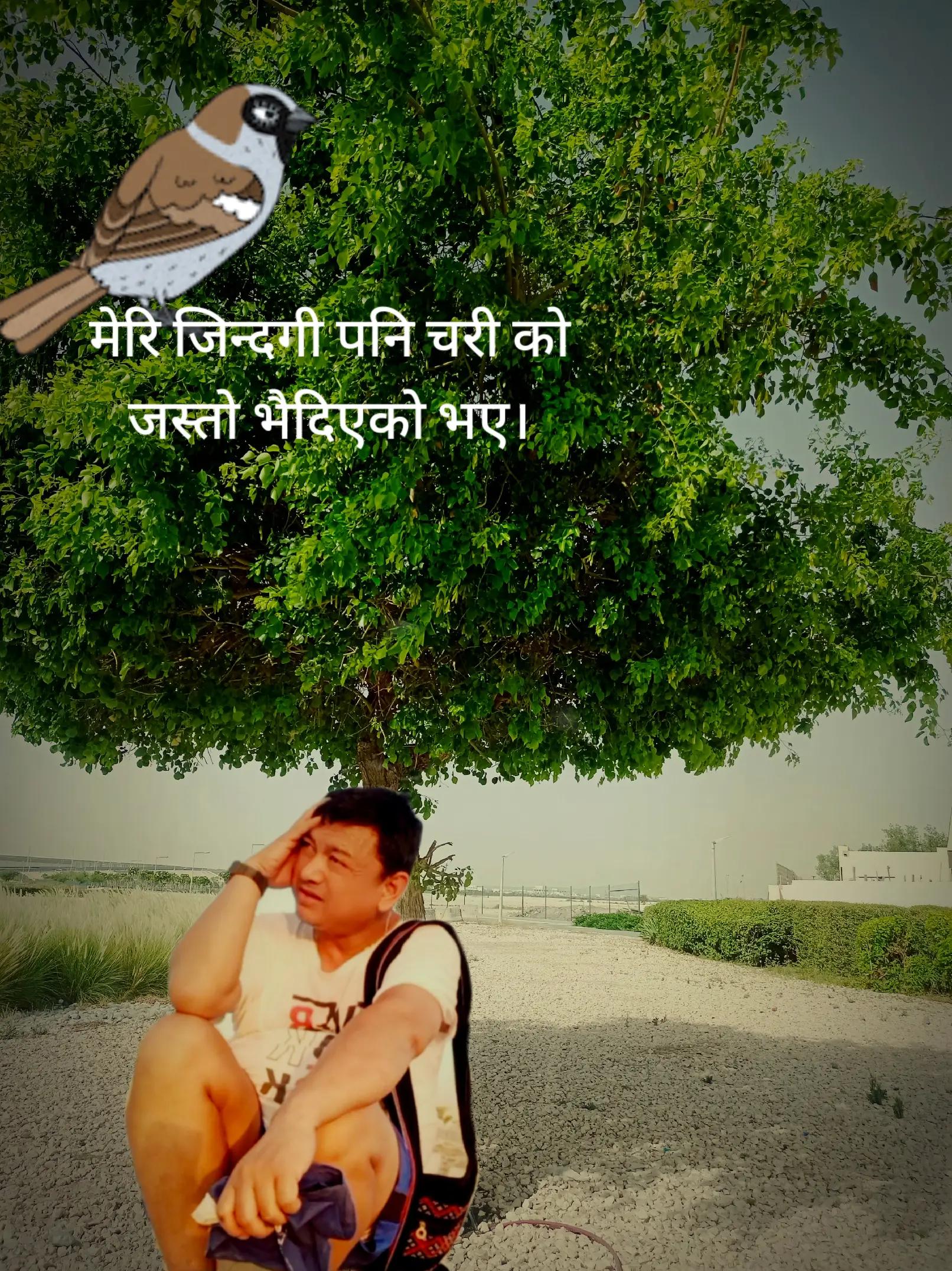 @@CHHABIN G.C.