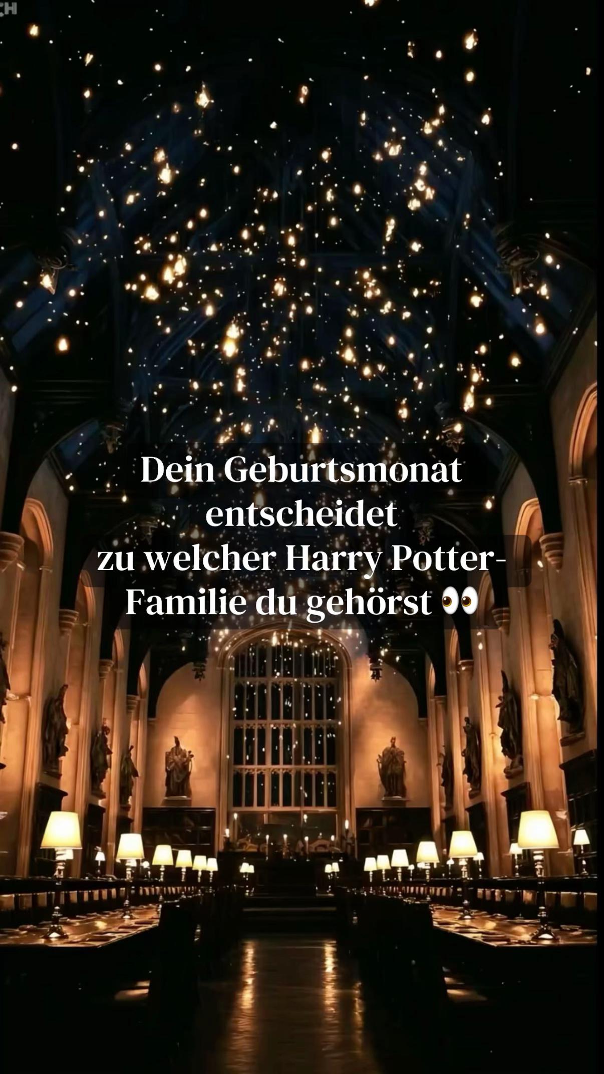@Muggelgefl&uuml;ster
