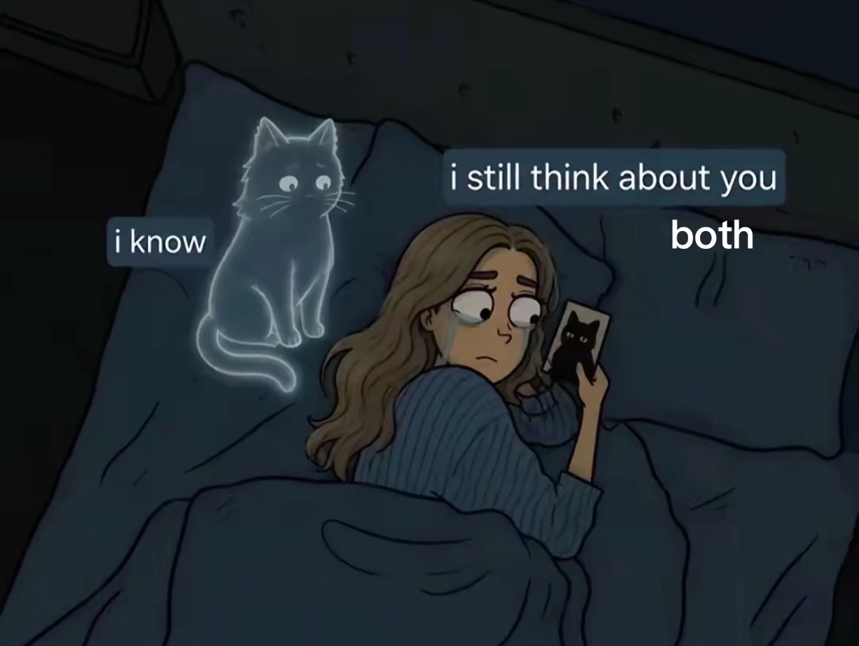 @Leslie Vernon