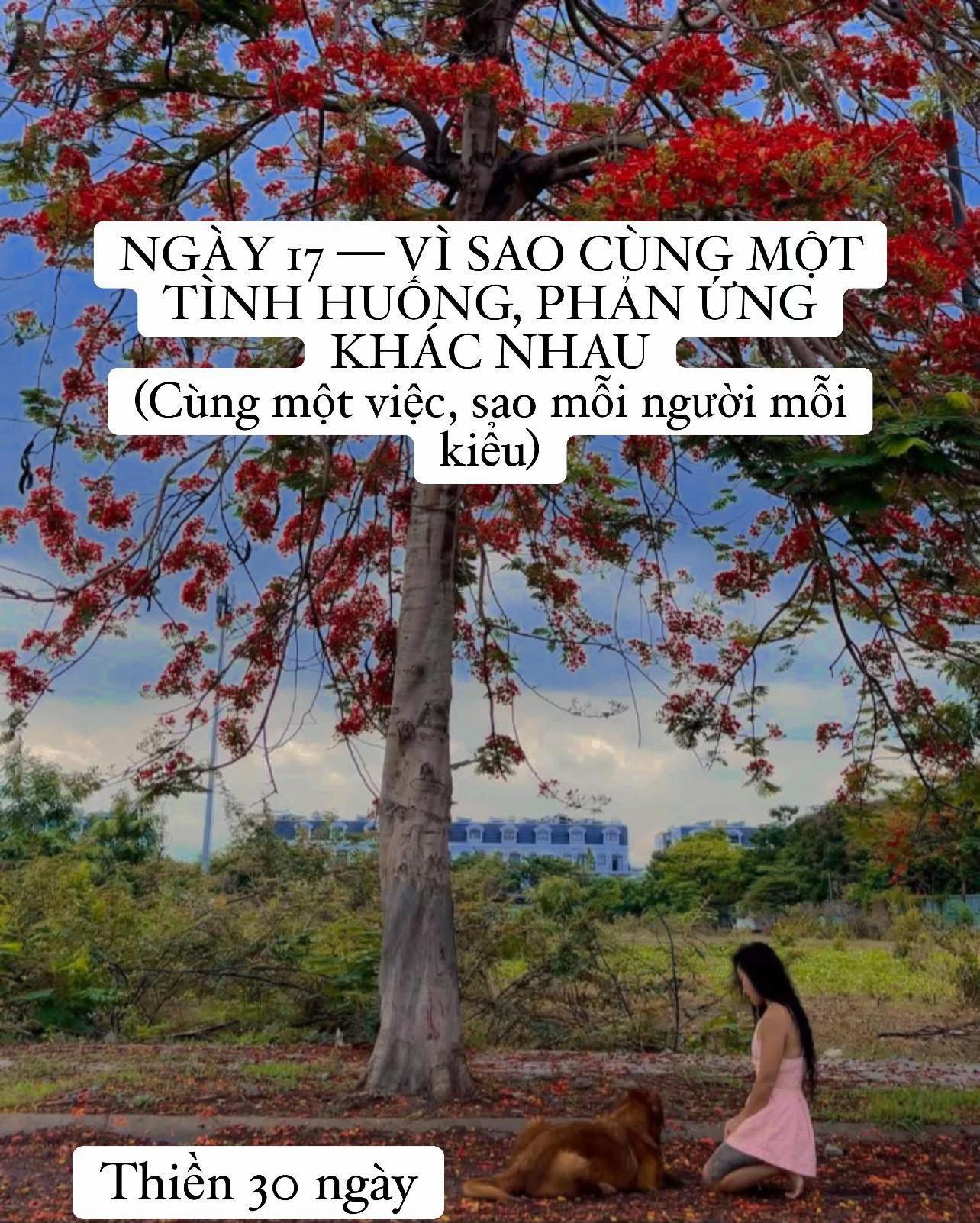 @buihoangbichtho