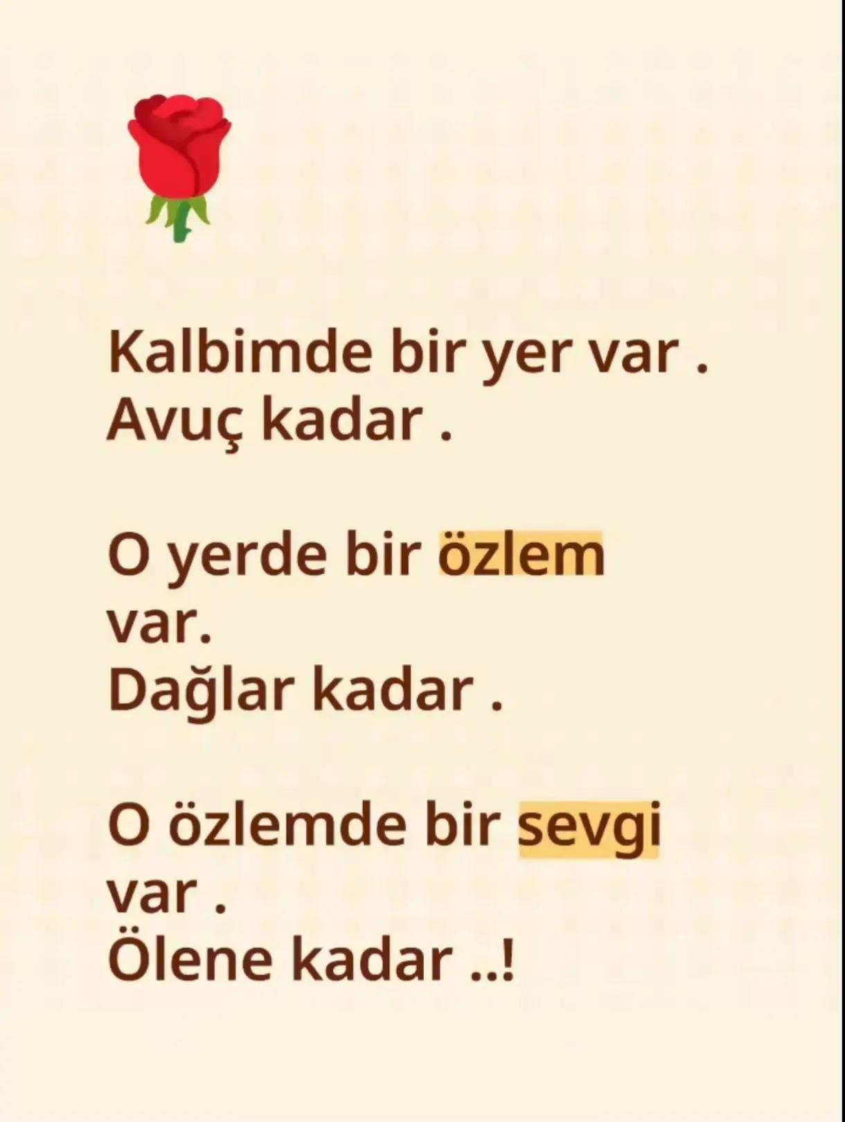 @hayat_kry63