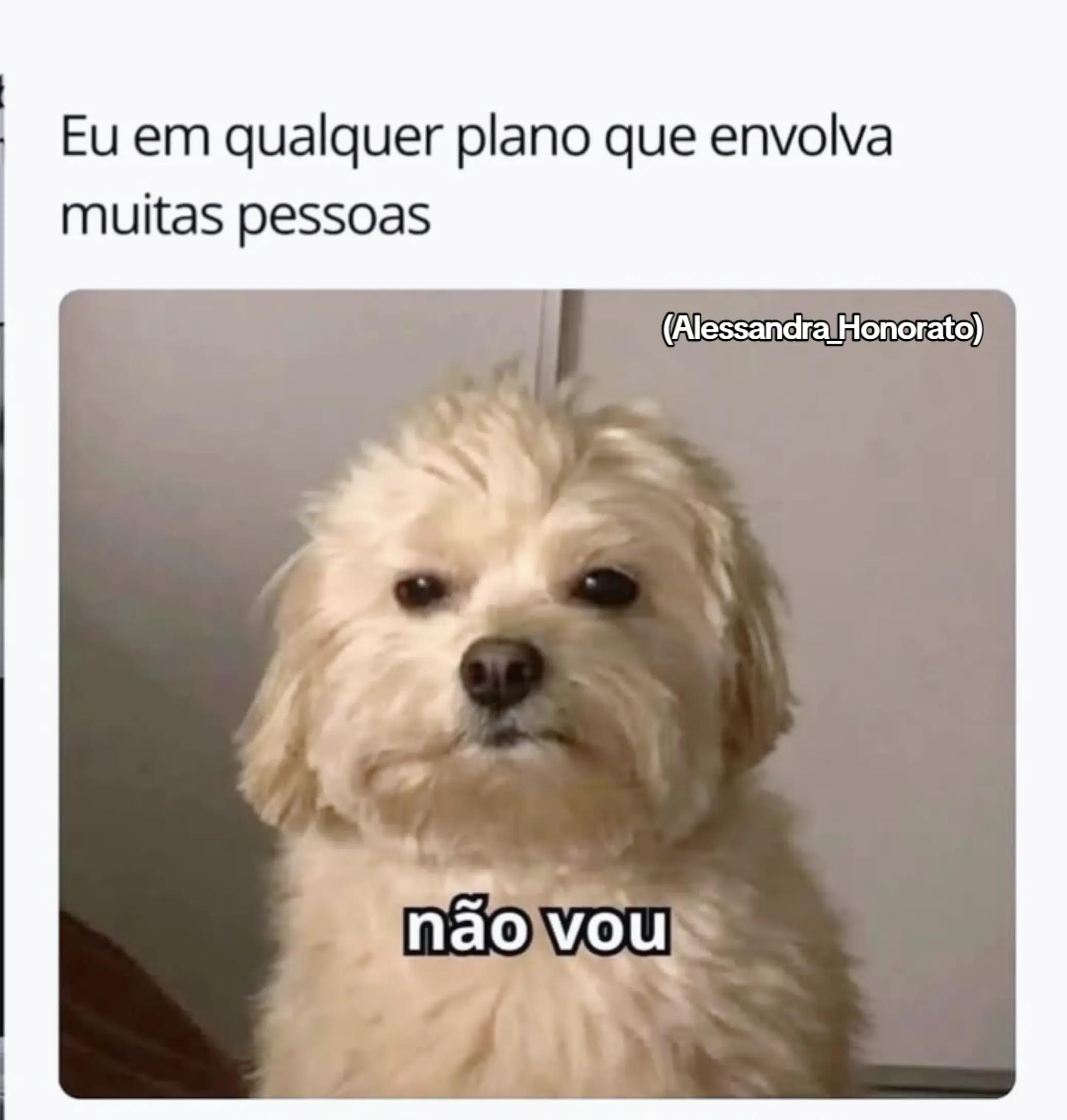 @AlessandraRocha🌪