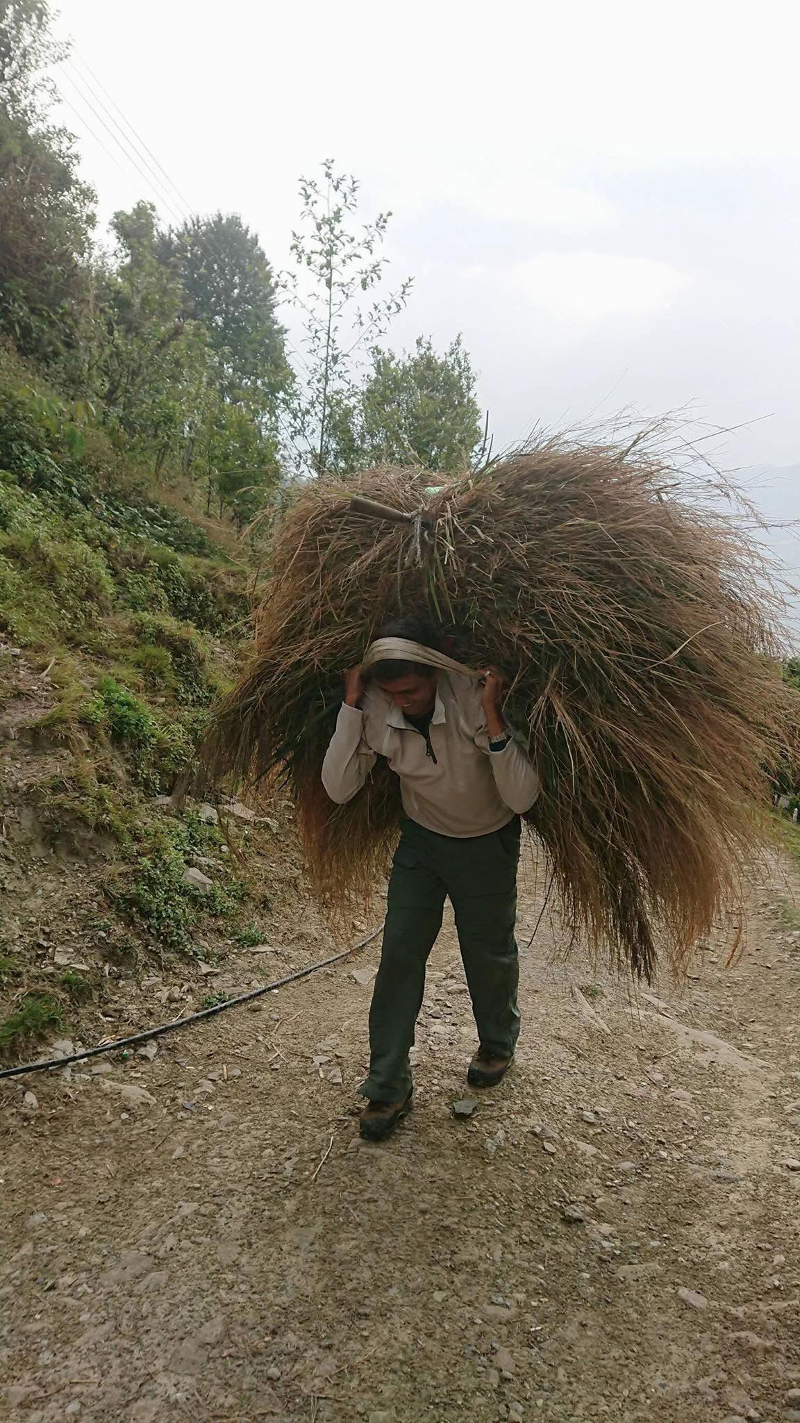 @scout/mountain..leader🇳🇵🇺🇸