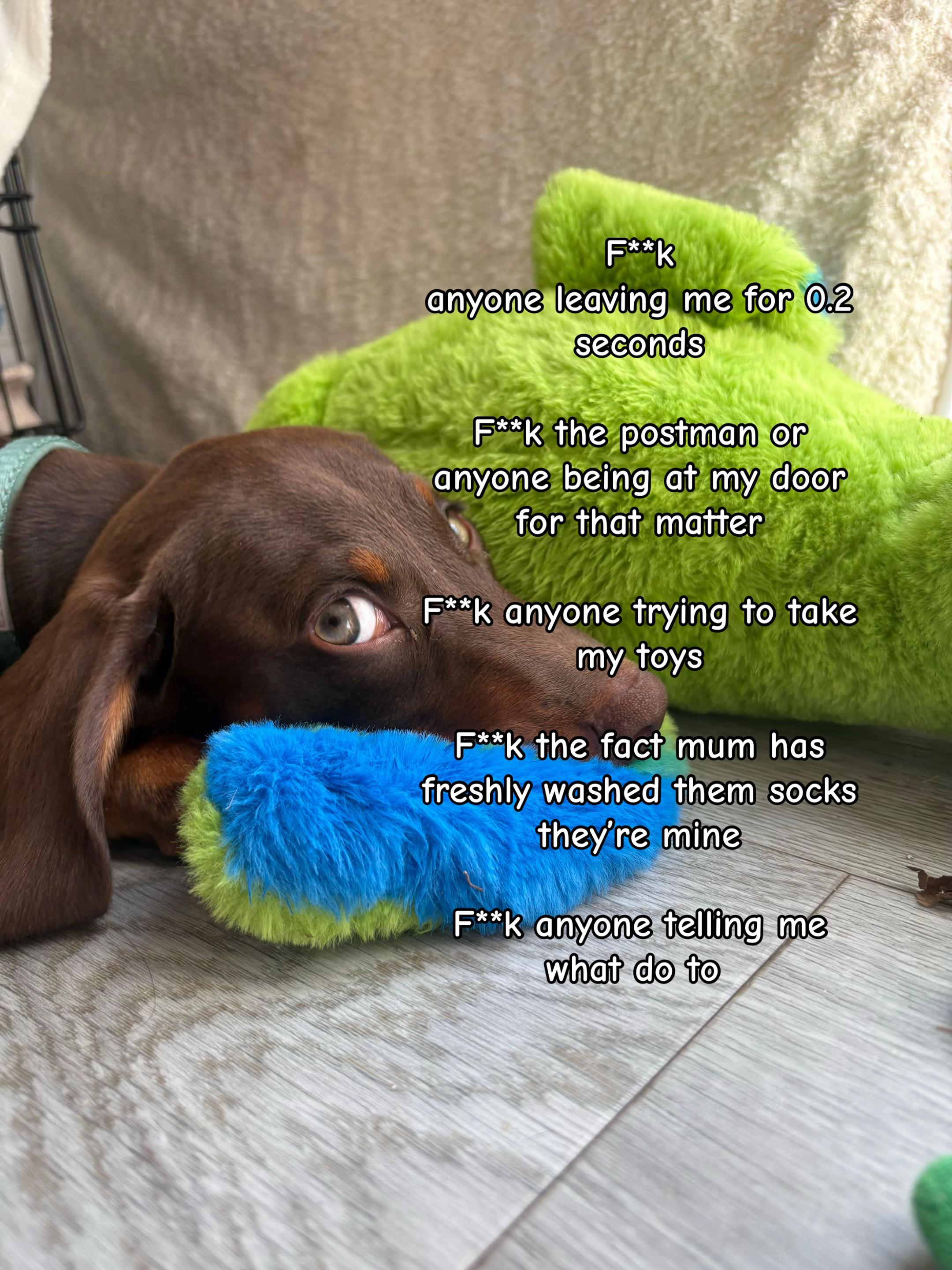@Lennietheminiature