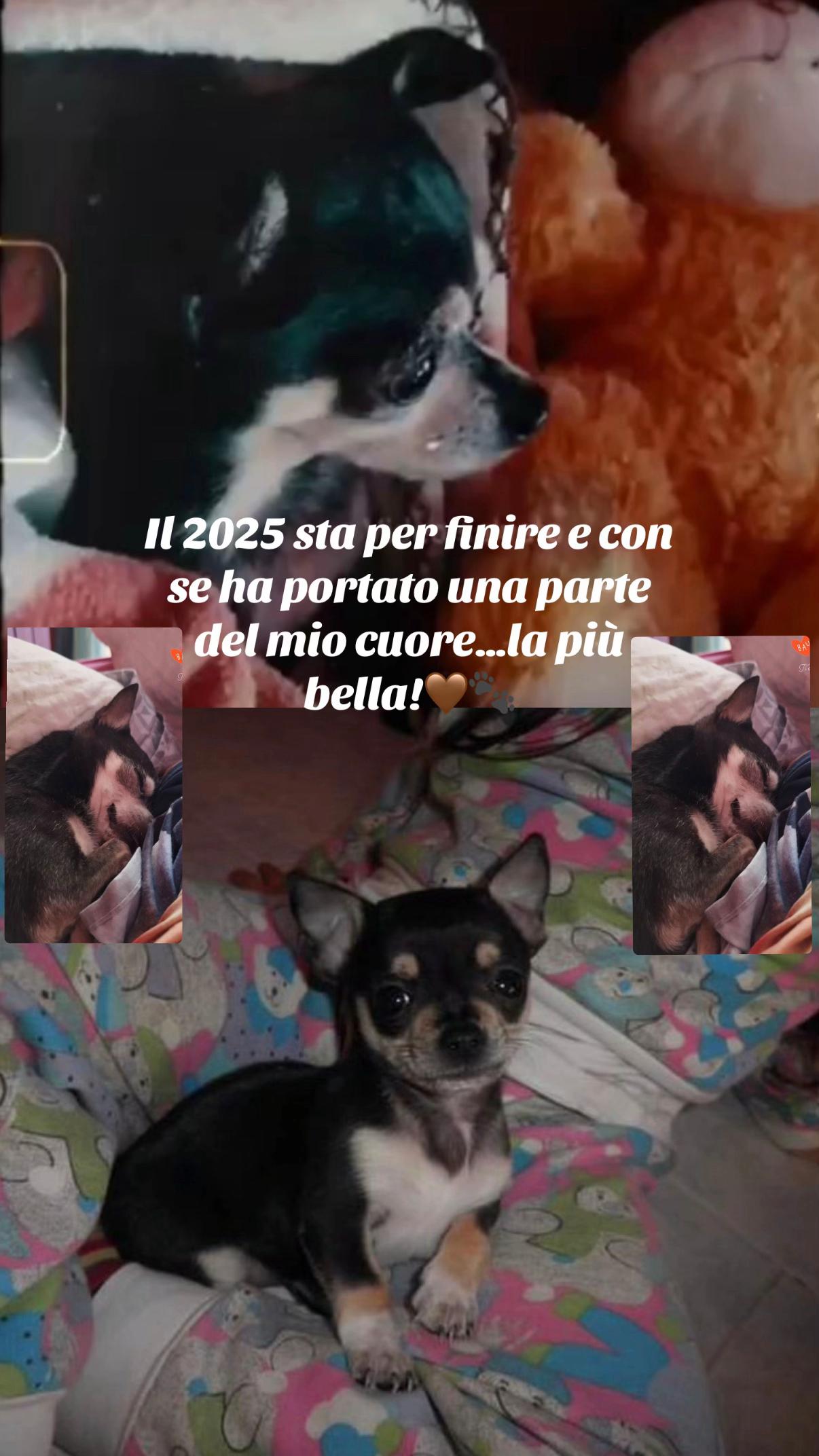 @Miri_R❤️
