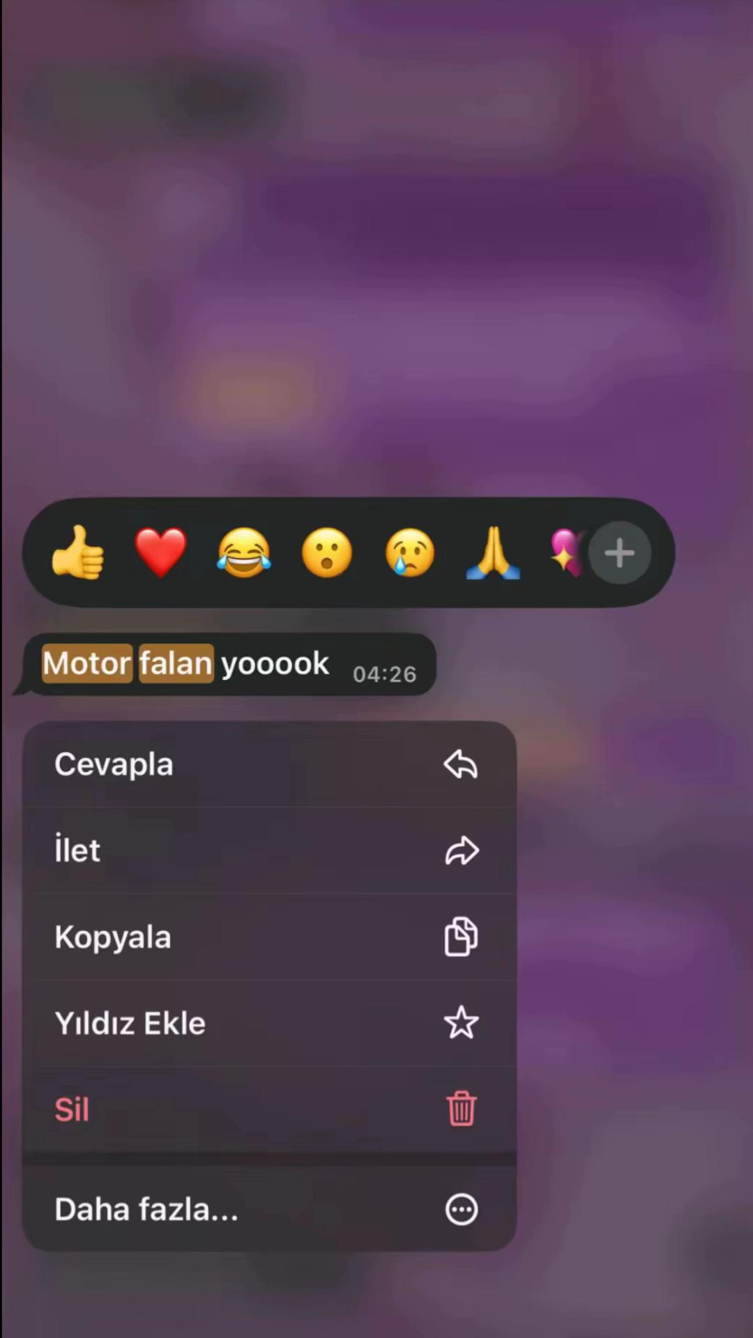 @ceylin