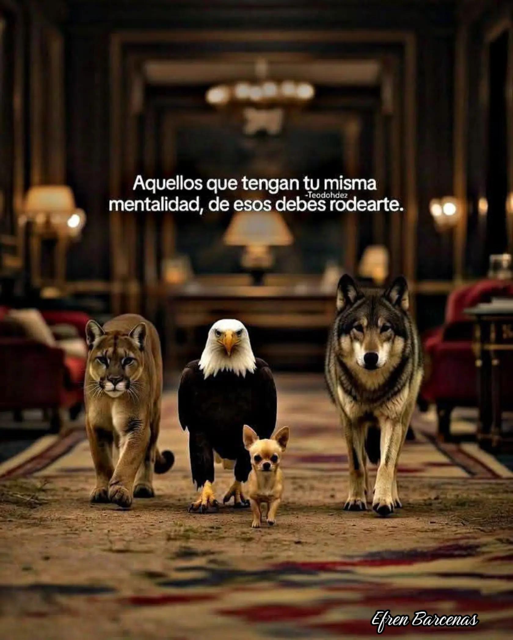 @efren Barcenas