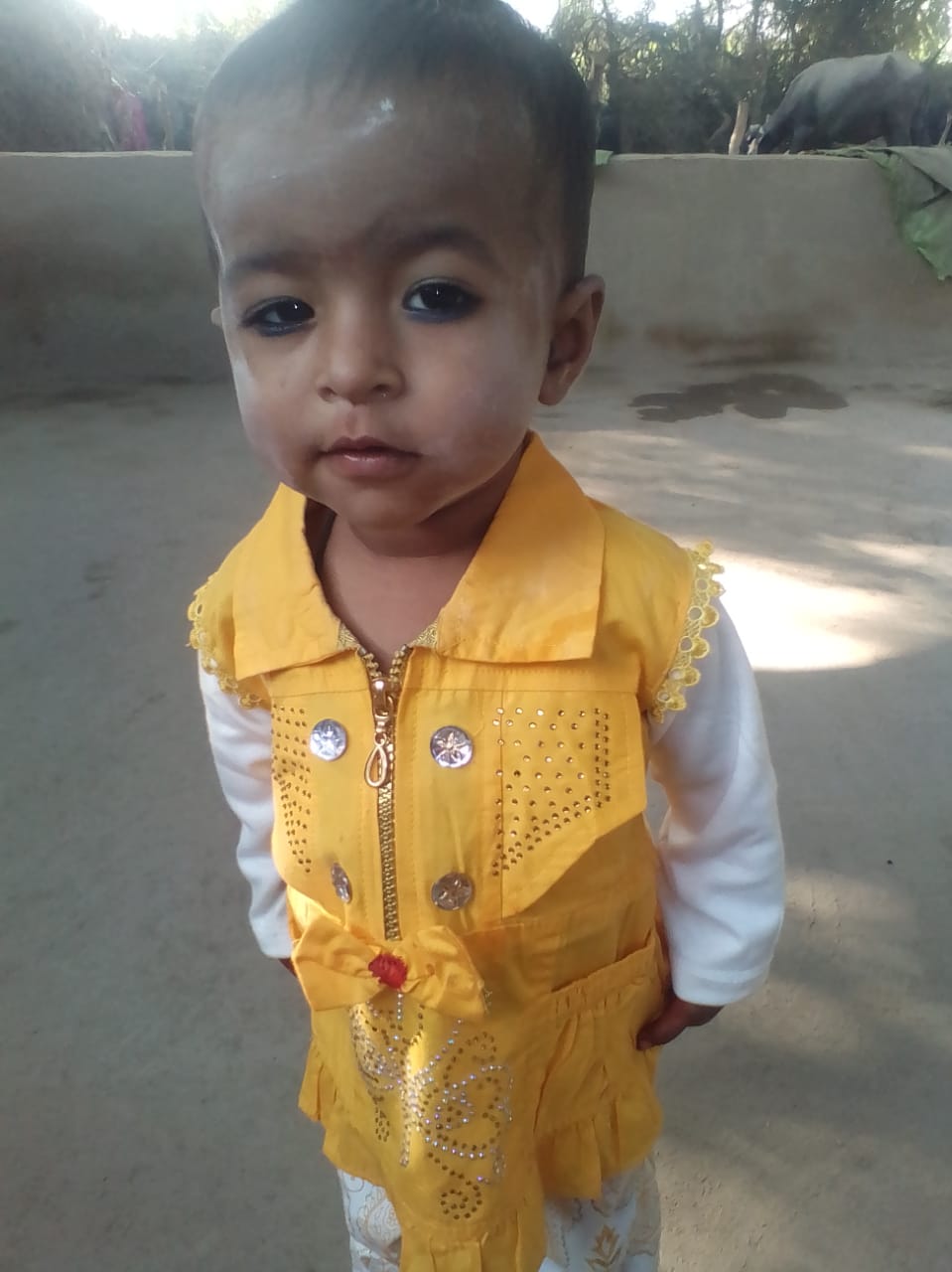 @Mr.Arjun kachhi