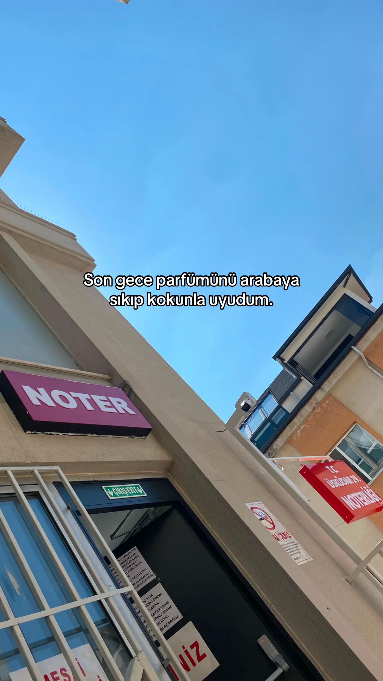 @53