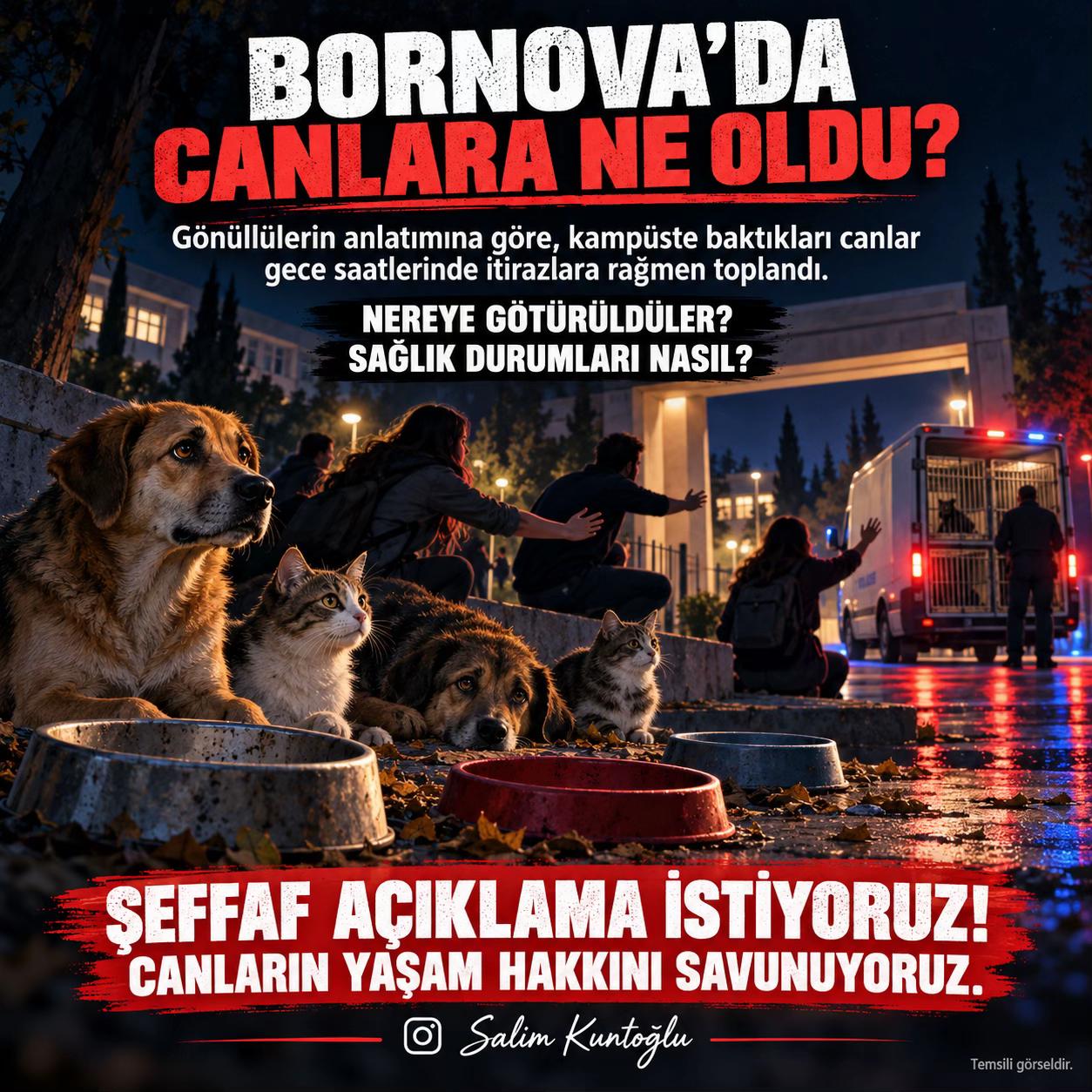 @Salim Kuntoğlu