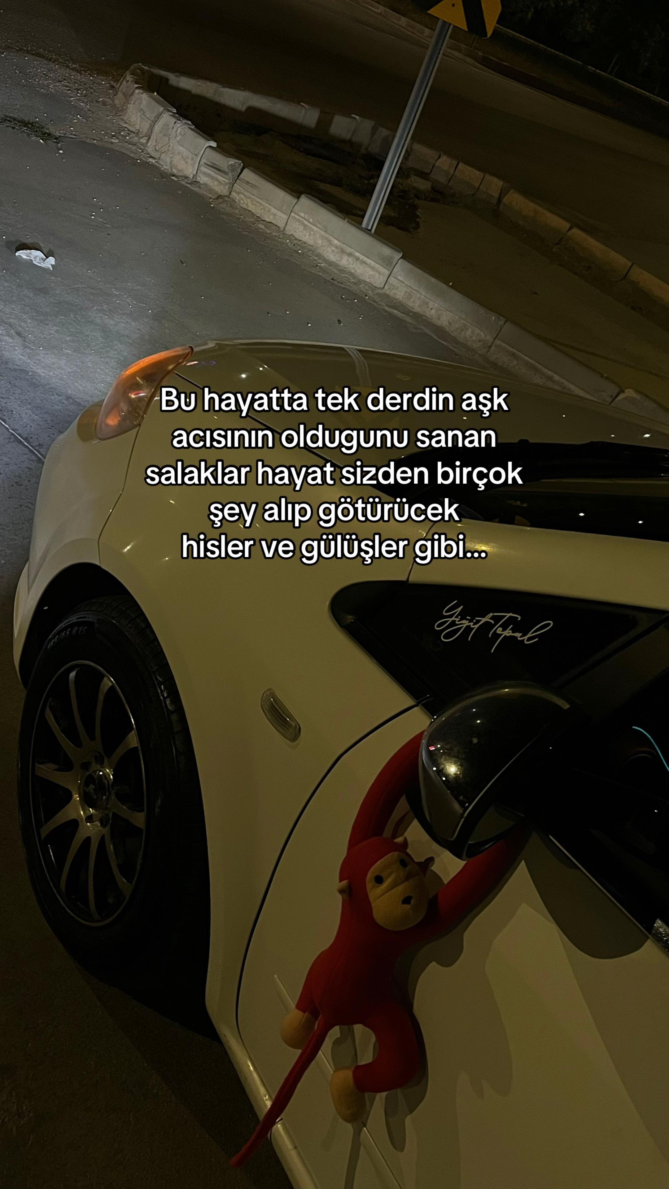 @ ️Yiğit