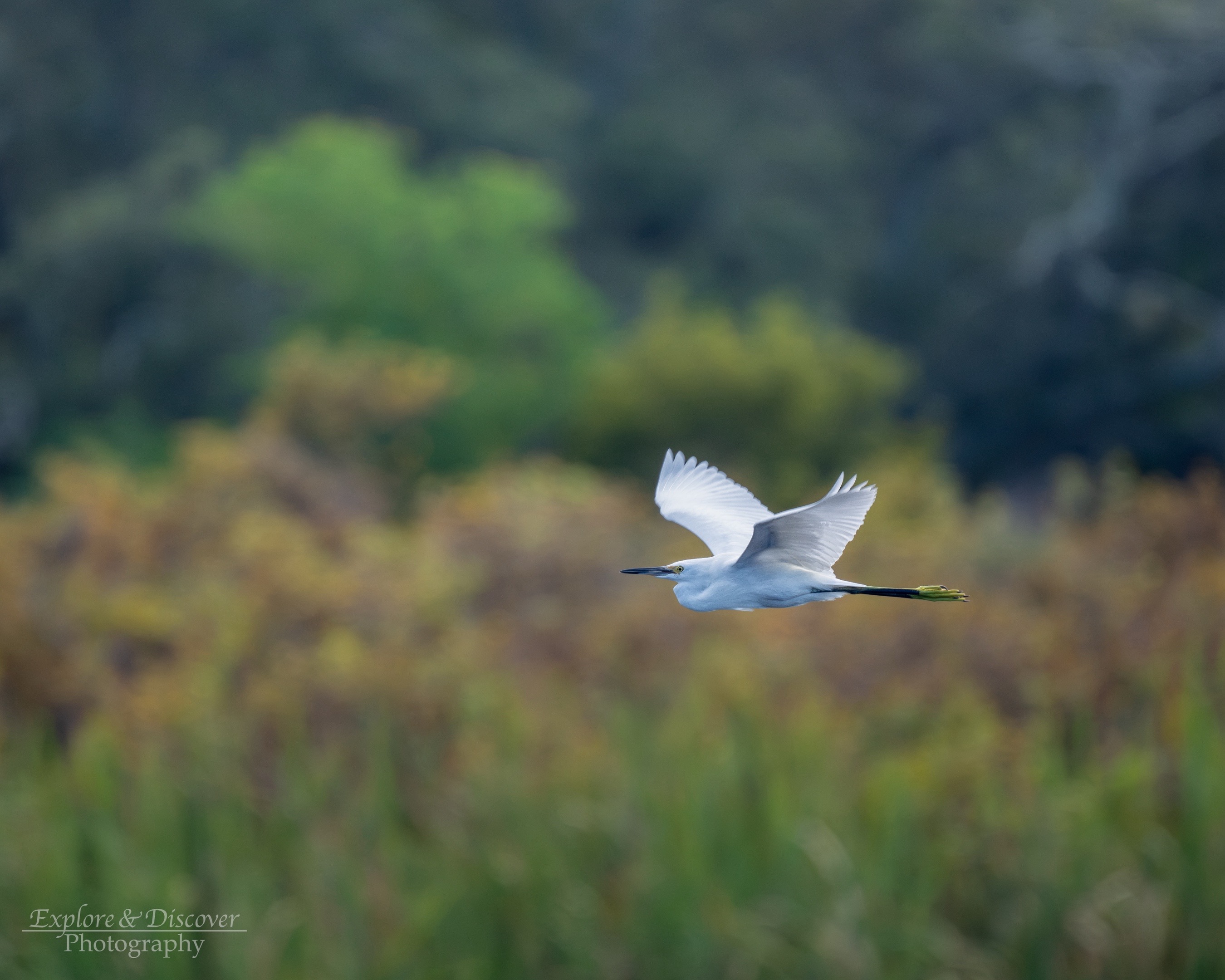 @explorediscoverphoto