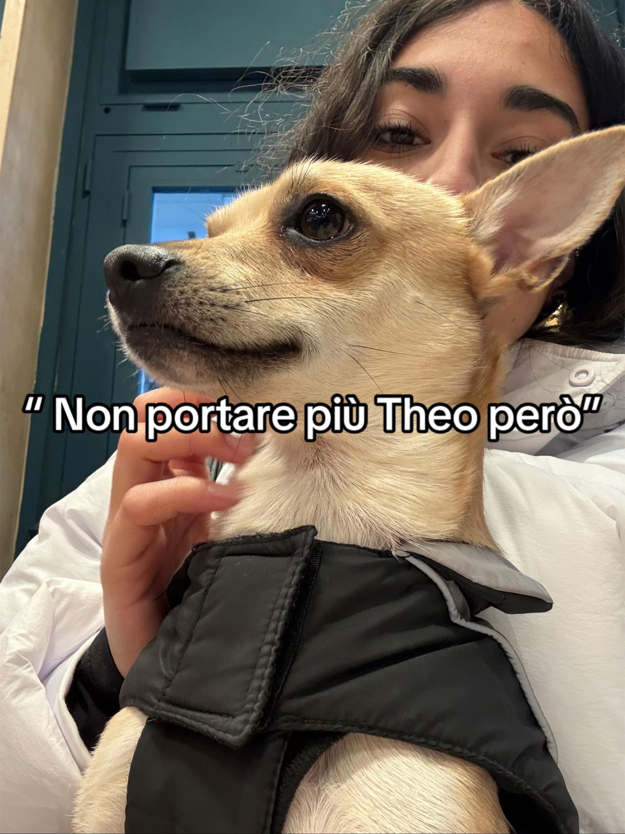 @Piccolo Theo👑