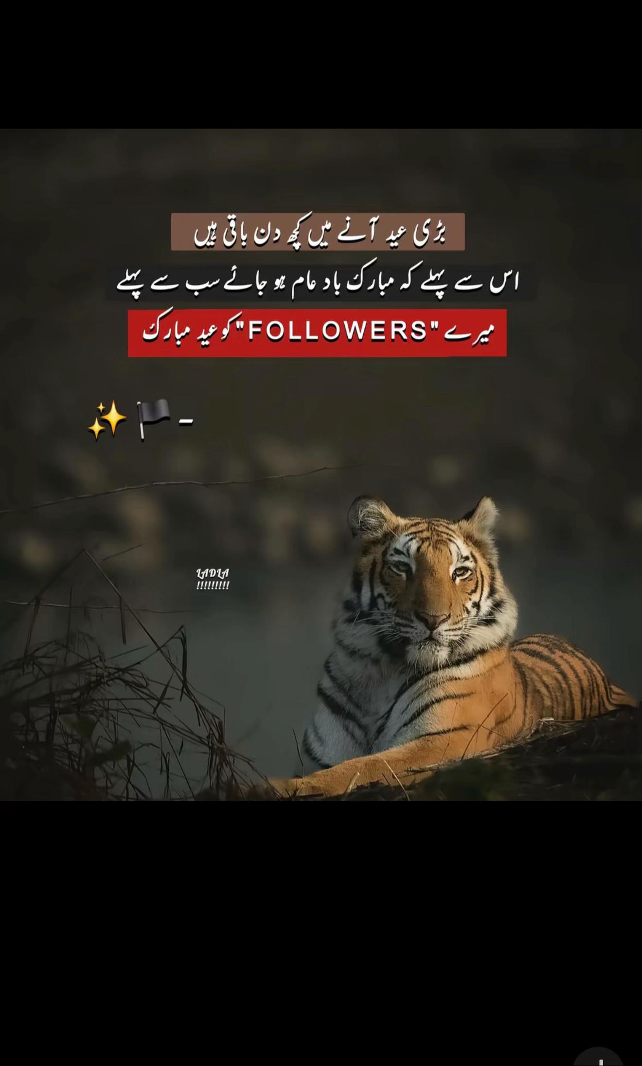 @Sanwal Sahi✅