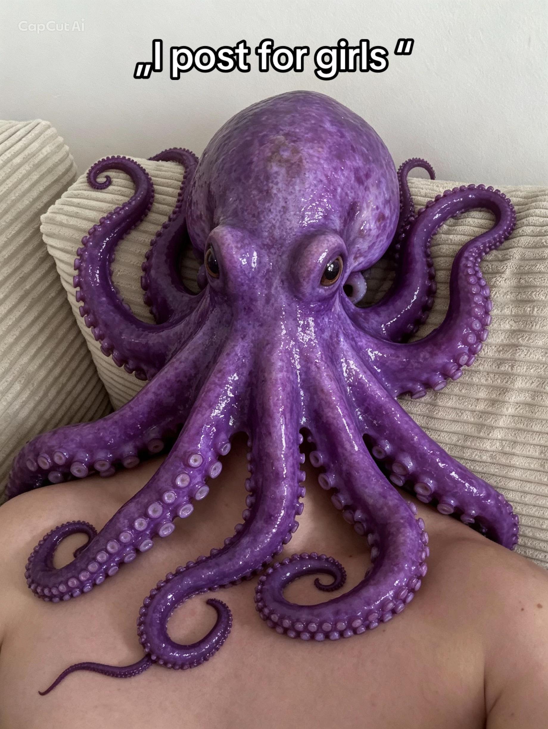 @Optimal Octopus