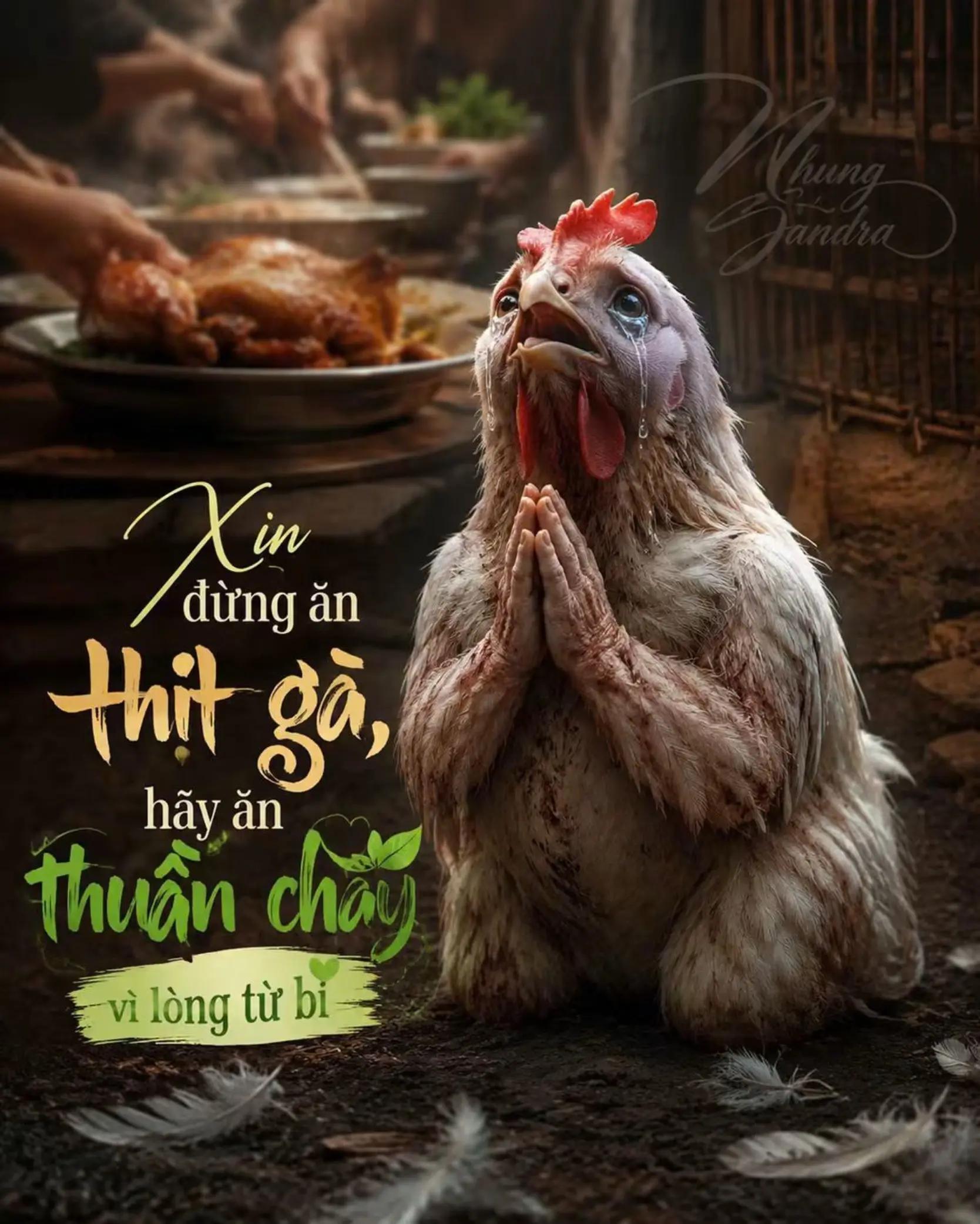 @lệ sầu về đêm