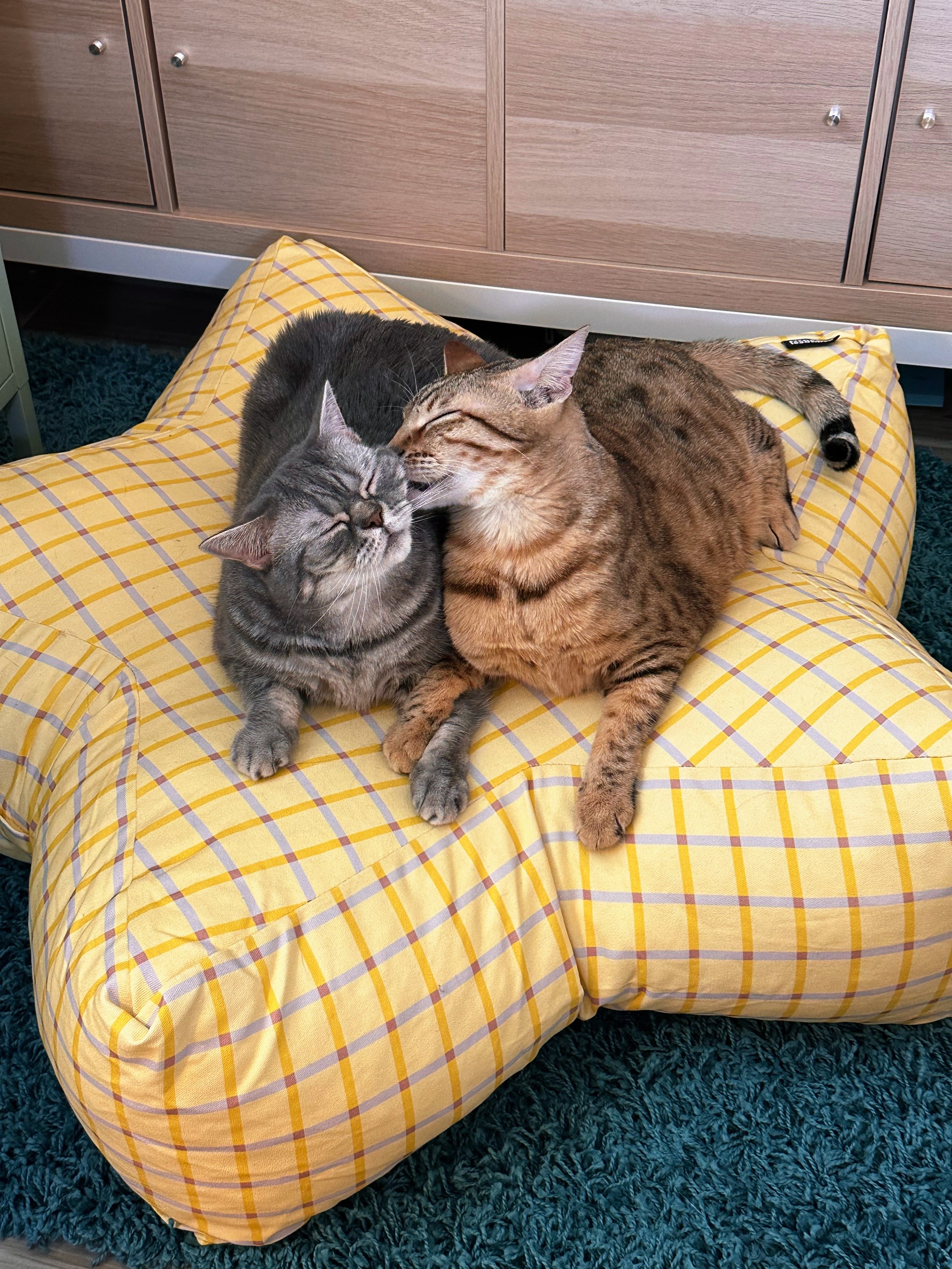 @oreocatsu