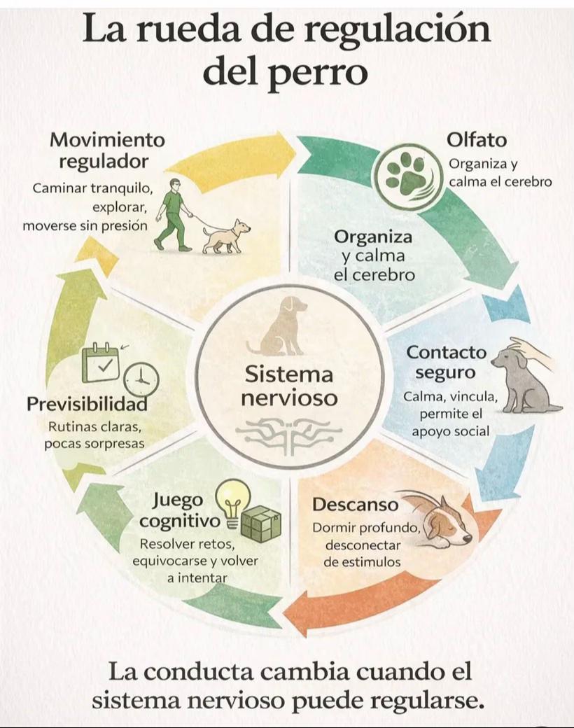 @Todo para tu peludo