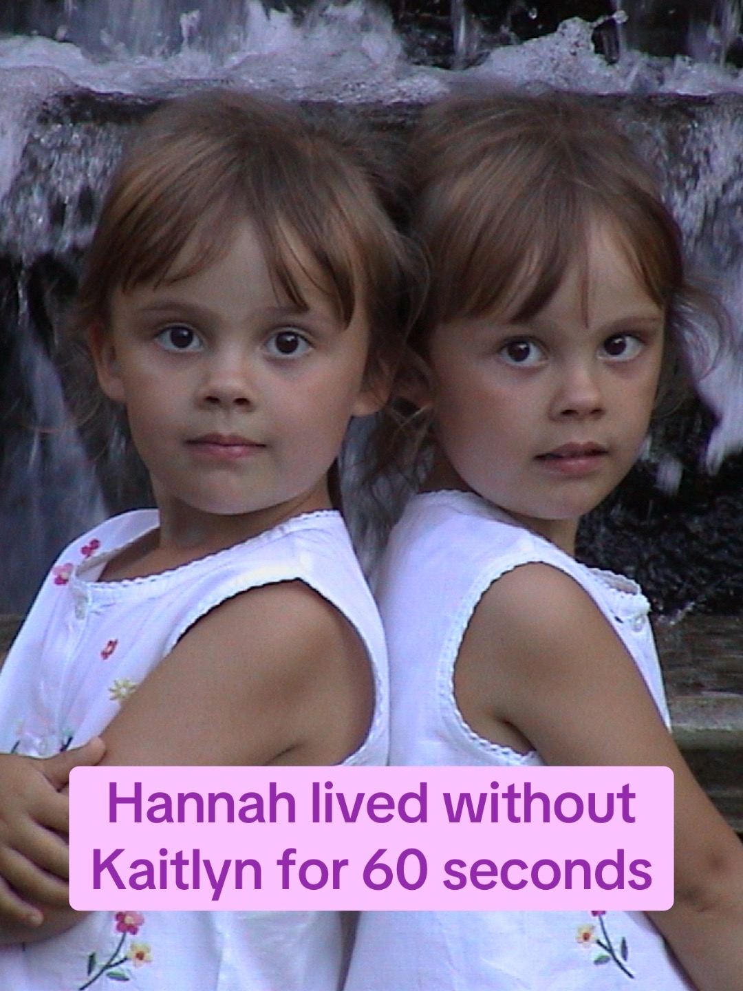 @Schmidt Twins
