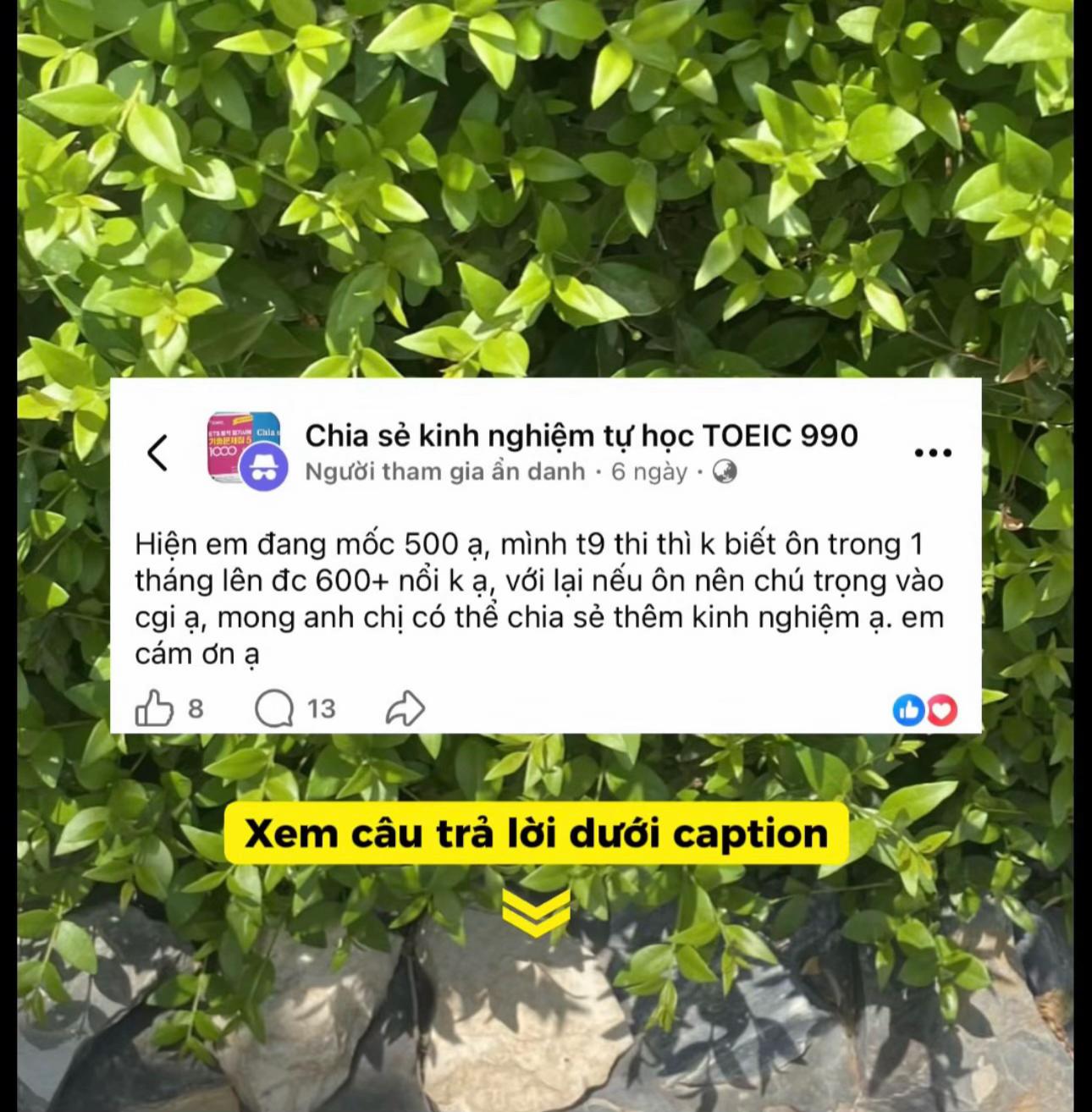 @Helen Toeic