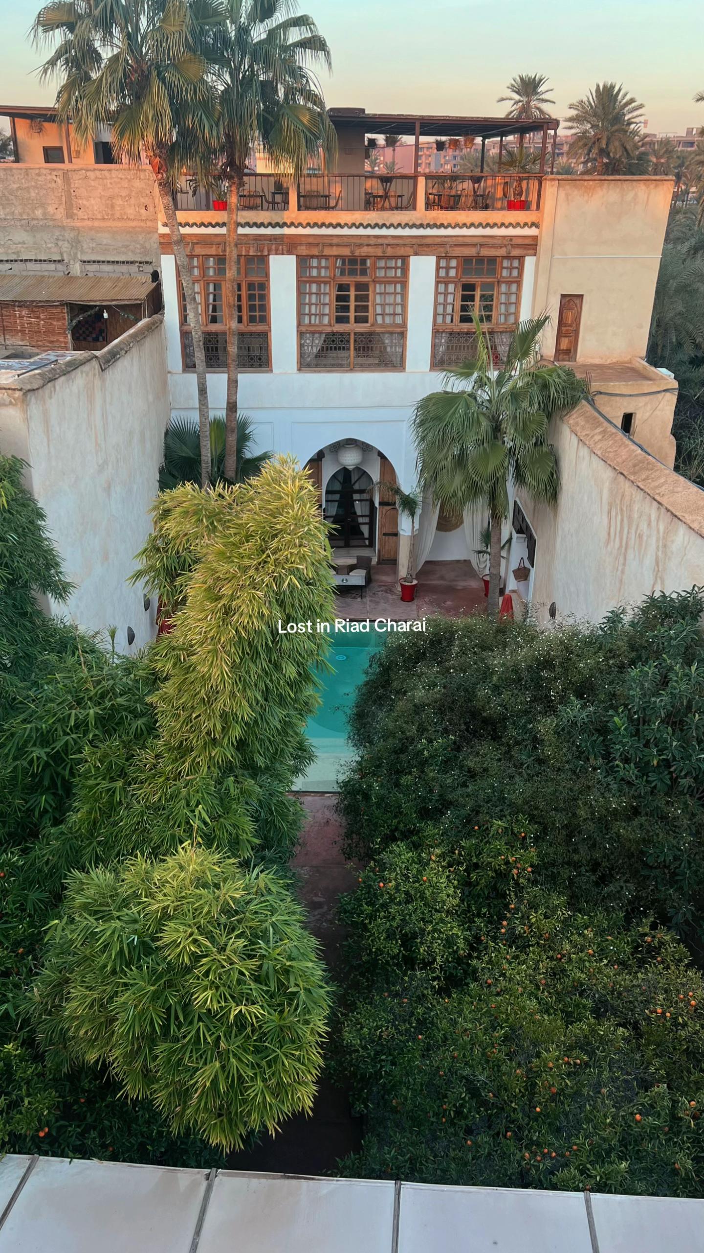 @Naomi | Travel | Wellness