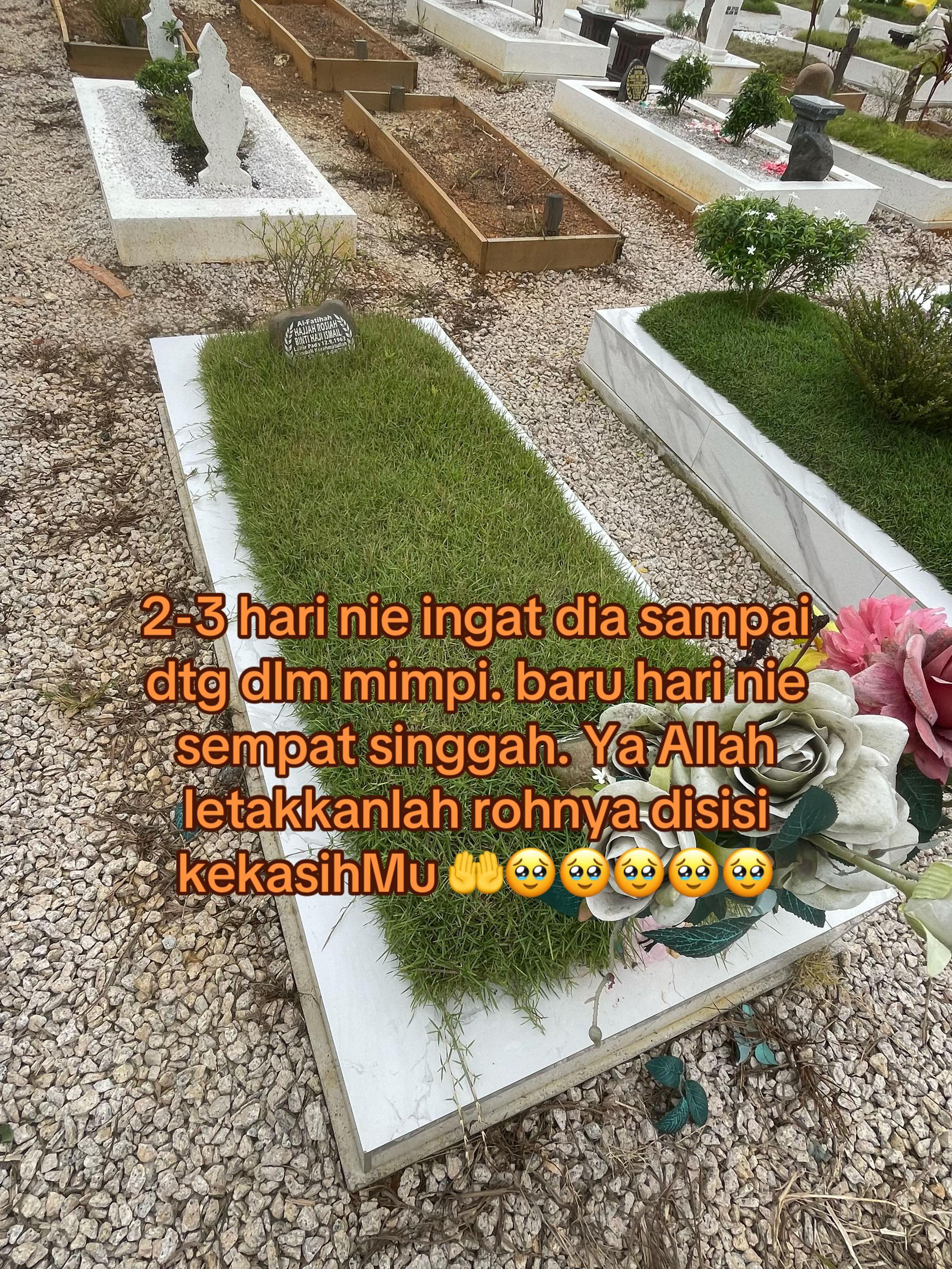@Abg Wangi