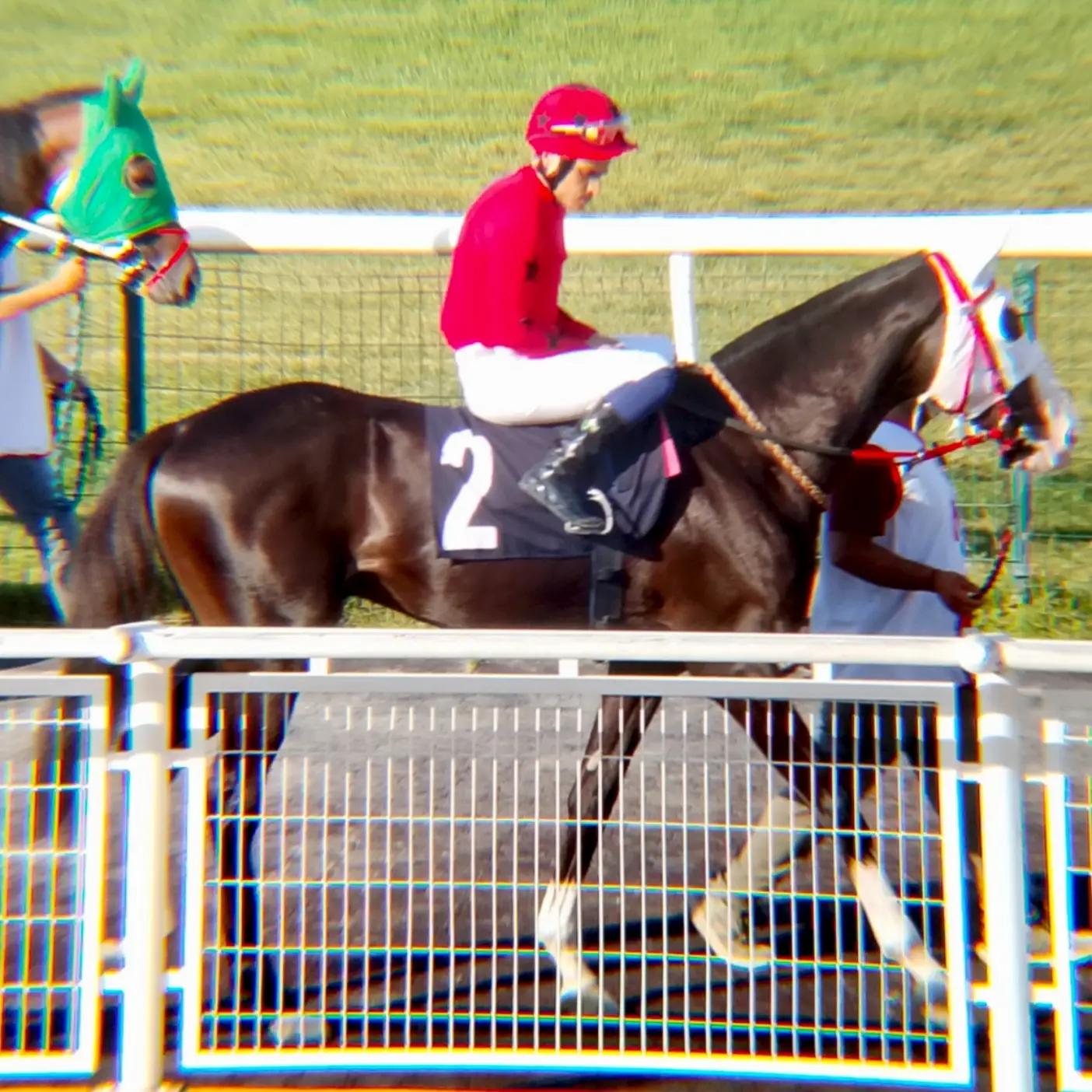 @brs horse racing