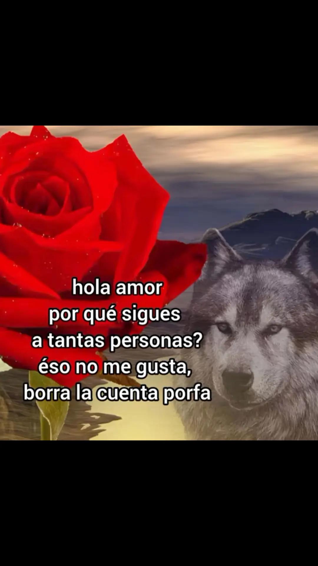 @indirectas