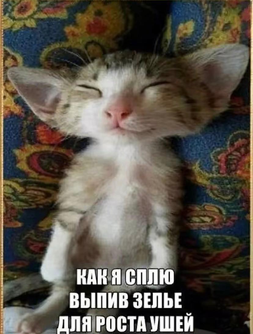 @Tиmoфeй