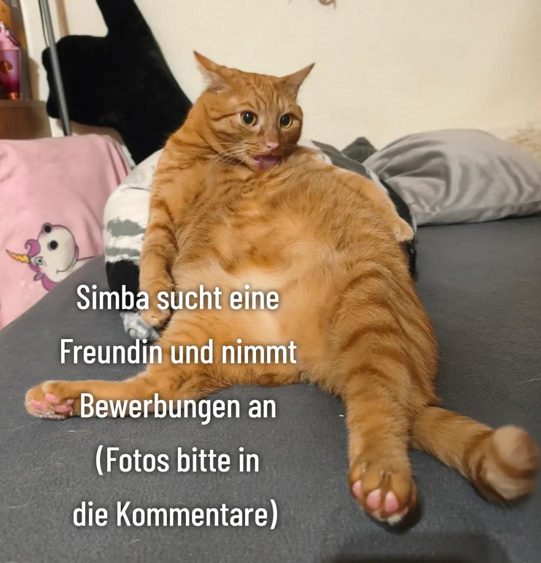 @꧁ Ɱ₳☈I✪Ň ꧂