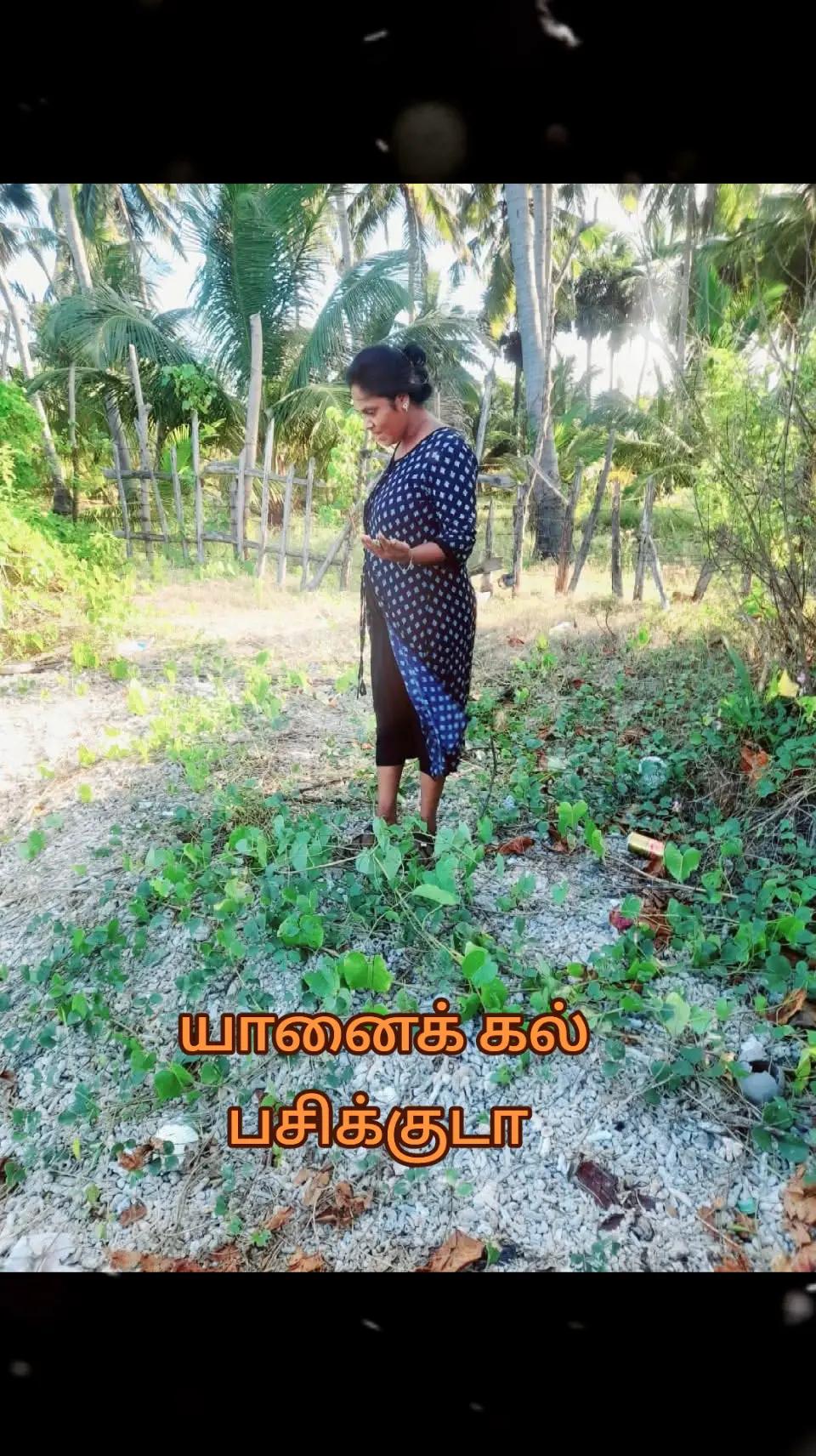 @ஆர் எஸ் கலா 🇲🇾🇱🇰 😊😊